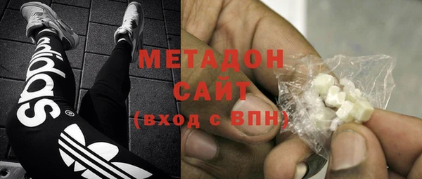 сатива Карпинск