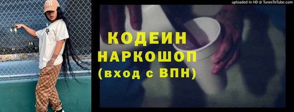 спайс Каменка
