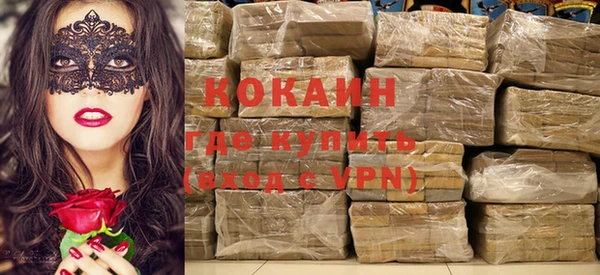 спайс Каменка
