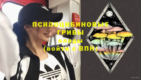 спайс Каменка