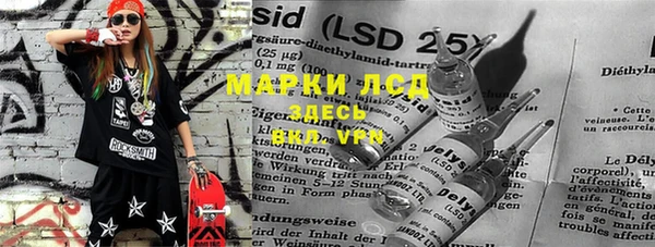 сатива Каменногорск