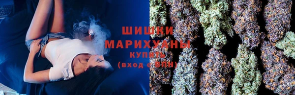 сатива Каменногорск