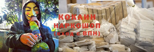 спайс Каменка