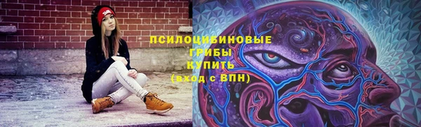 сатива Каменногорск