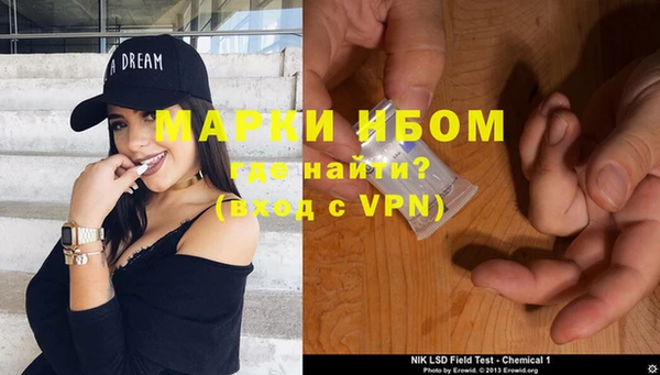 спайс Каменка