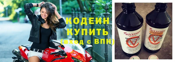 сатива Карпинск