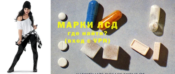 сатива Каменногорск