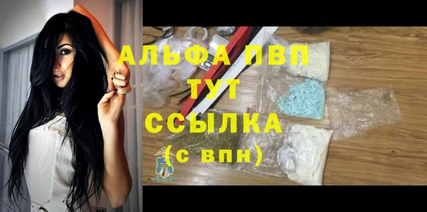 спайс Каменка