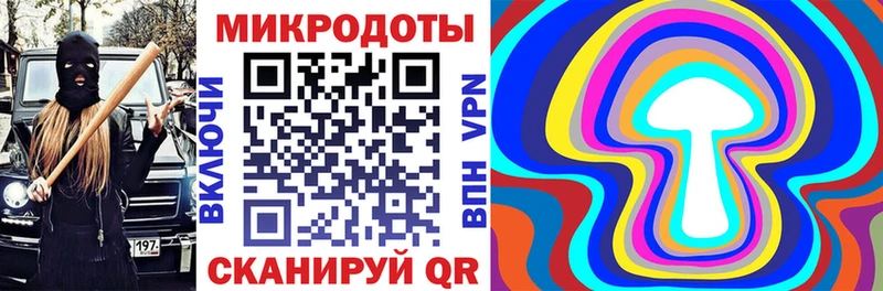 Галлюциногенные грибы Psilocybe где продают гидра сайт Кораблино